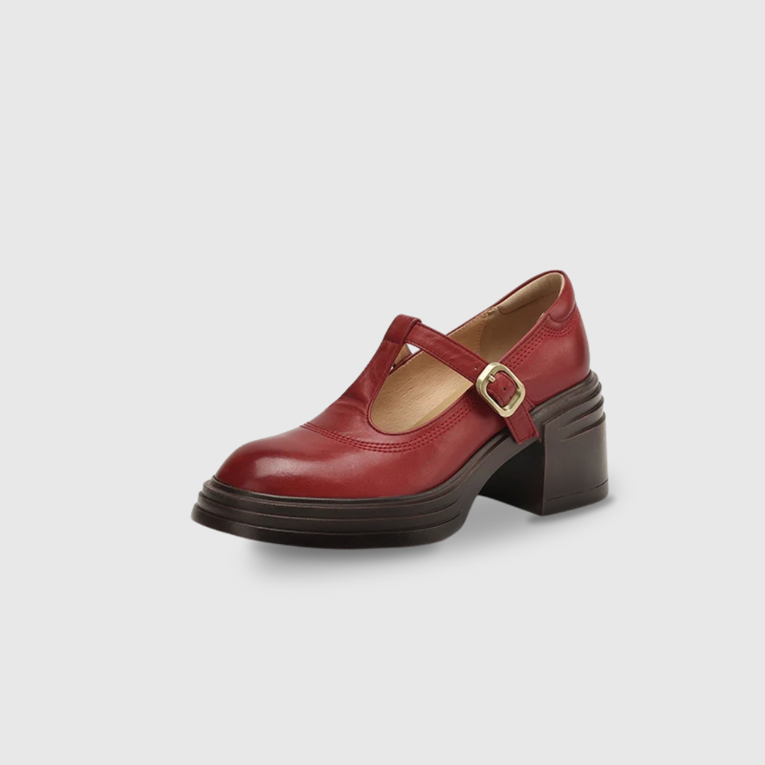 Rowena chunky block heel Mary Jane pumps with T-strap gold buckle and round toe