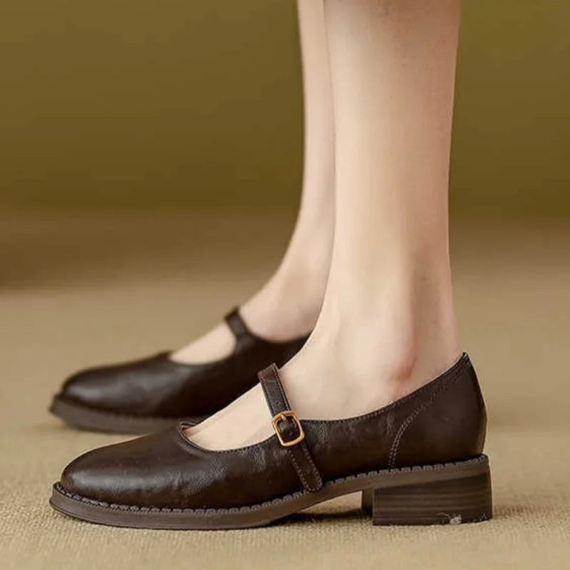 Eleanor Mary Jane shoes with single strap buckle and low block heel in black and brown
