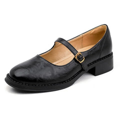 Eleanor Mary Jane shoes with single strap buckle and low block heel in black and brown