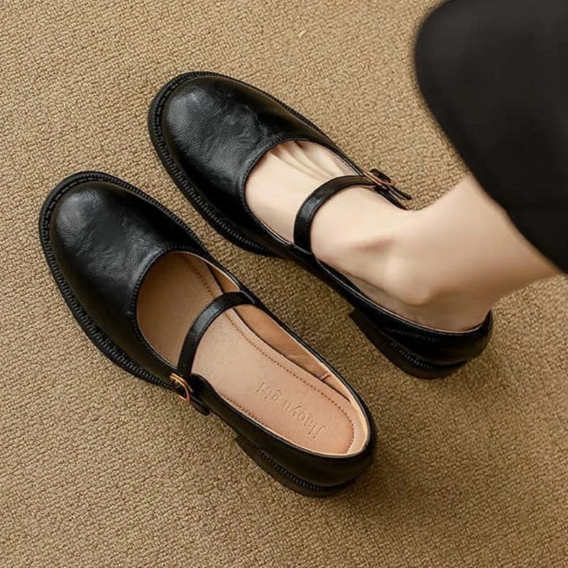 Eleanor Mary Jane shoes with single strap buckle and low block heel in black and brown